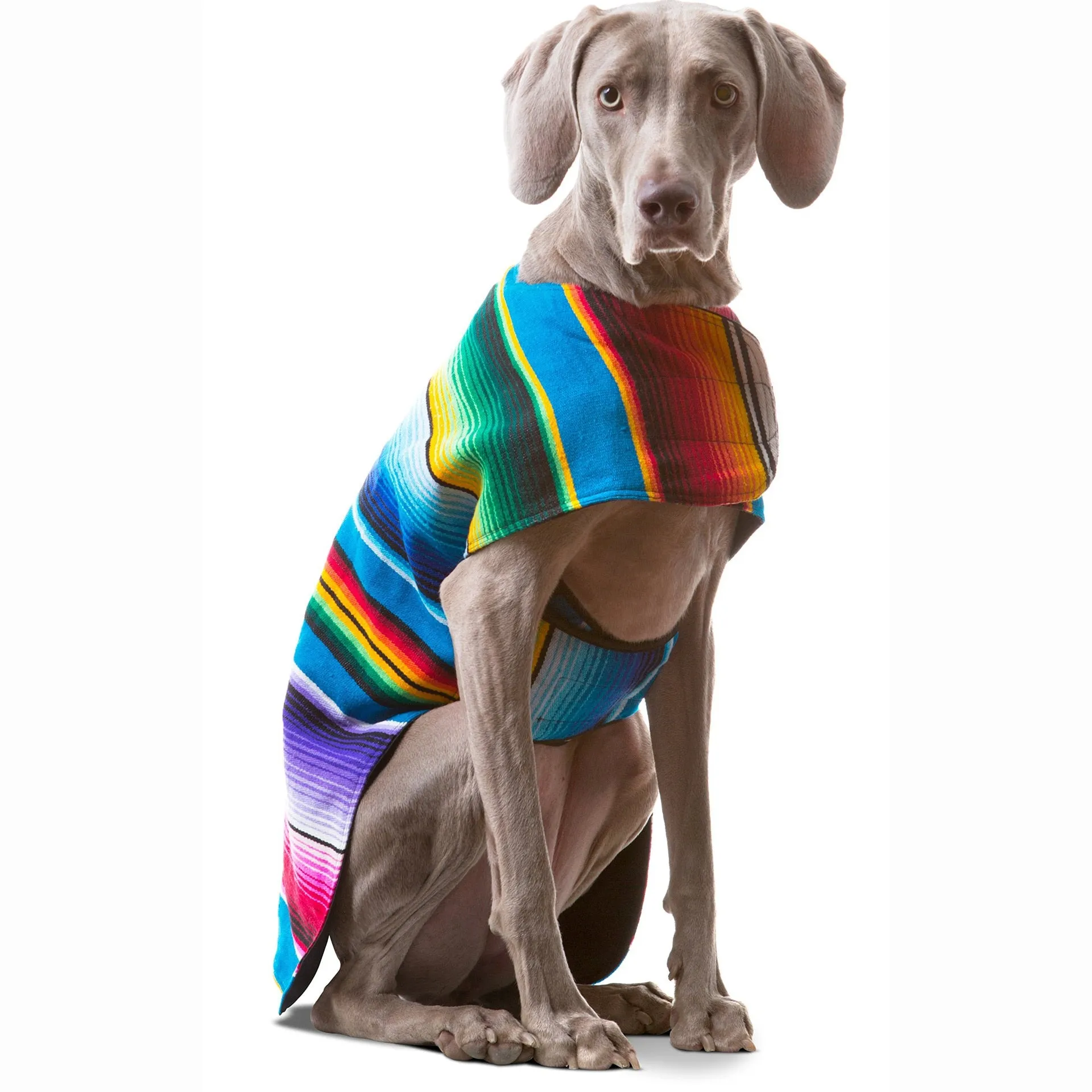 Handmade Dog Poncho: Mexican Serape Blanket & Tie Dye Dog Vest | Southwestern Dog Clothes for Halloween & Easter Costume | Pet Items