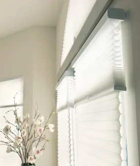 Hunter Douglas Applause Window Blinds