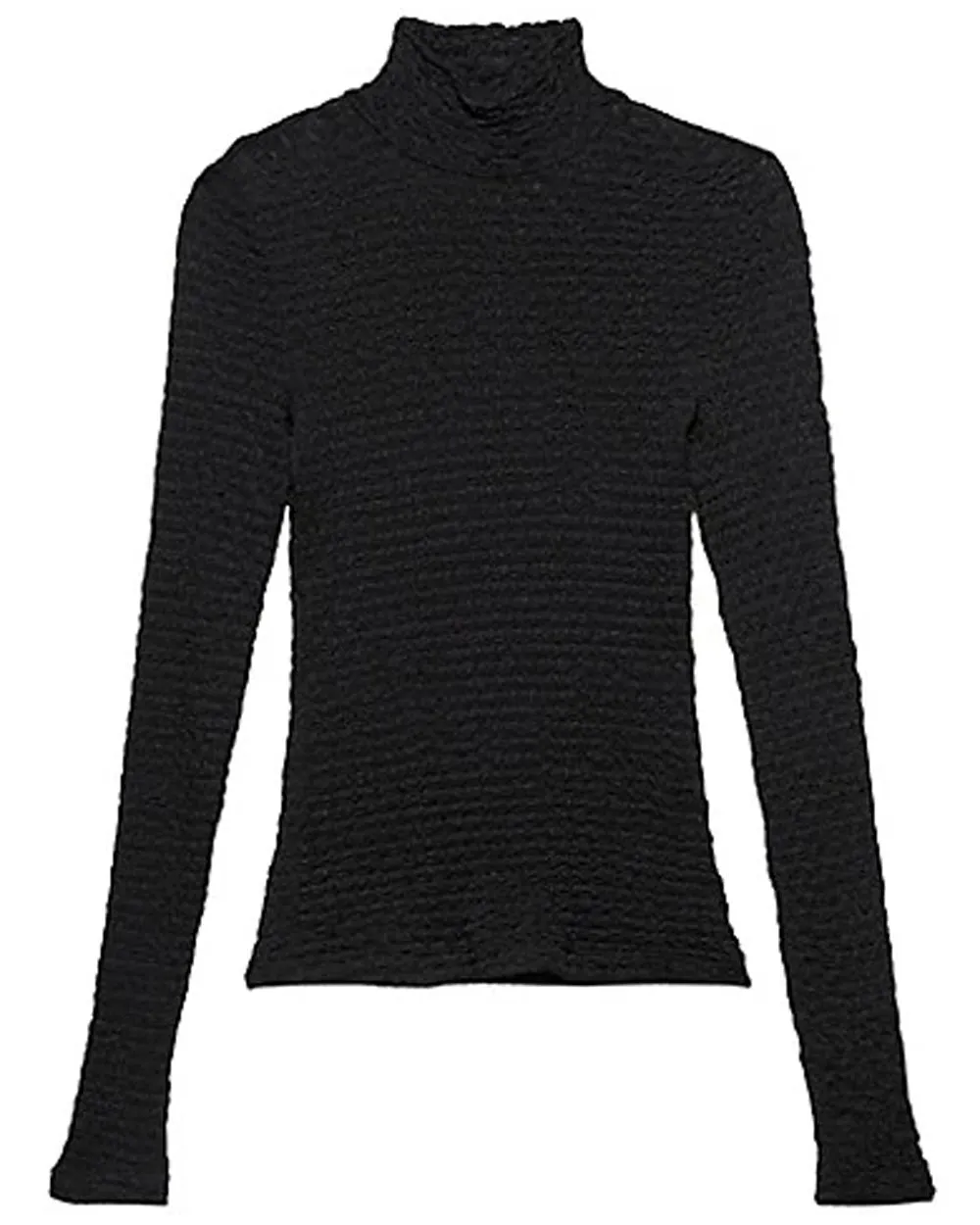 Noir Mesh Lace Turtleneck