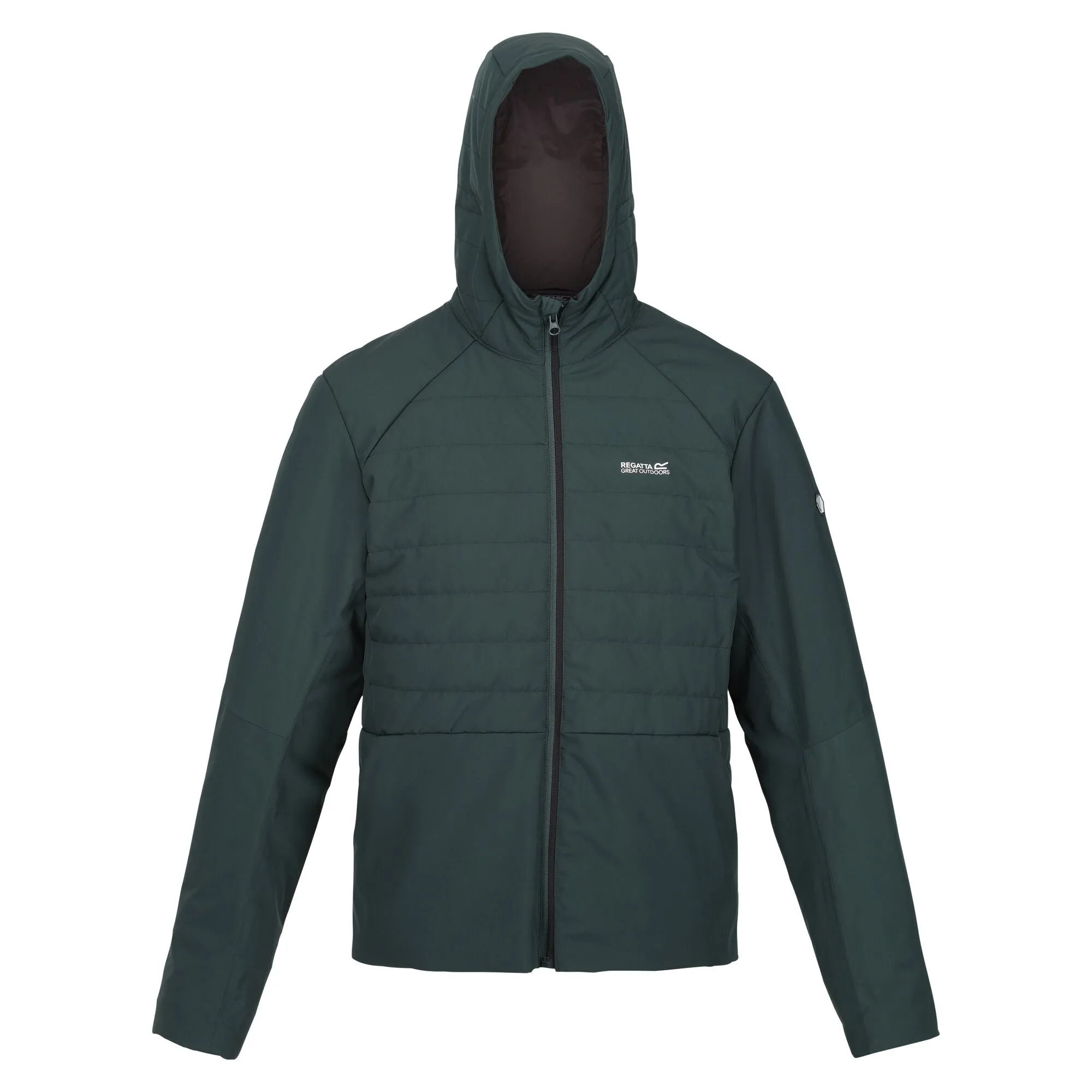 Regatta Mens Daxford Winter Hooded Insulated Jacket