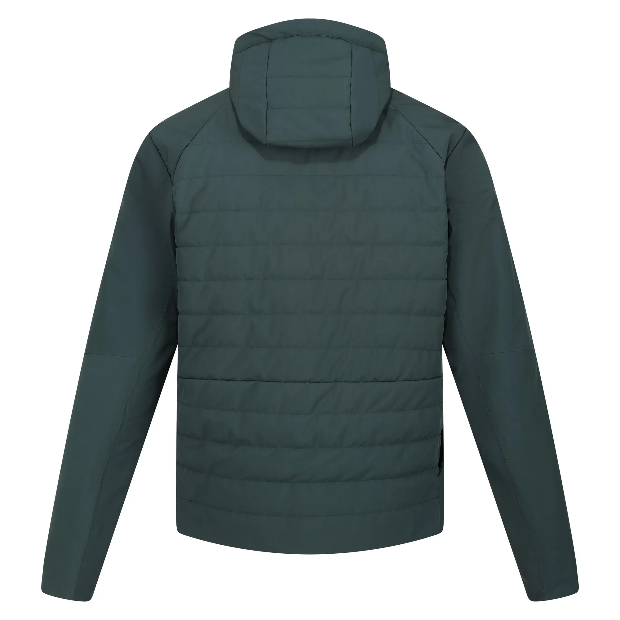 Regatta Mens Daxford Winter Hooded Insulated Jacket