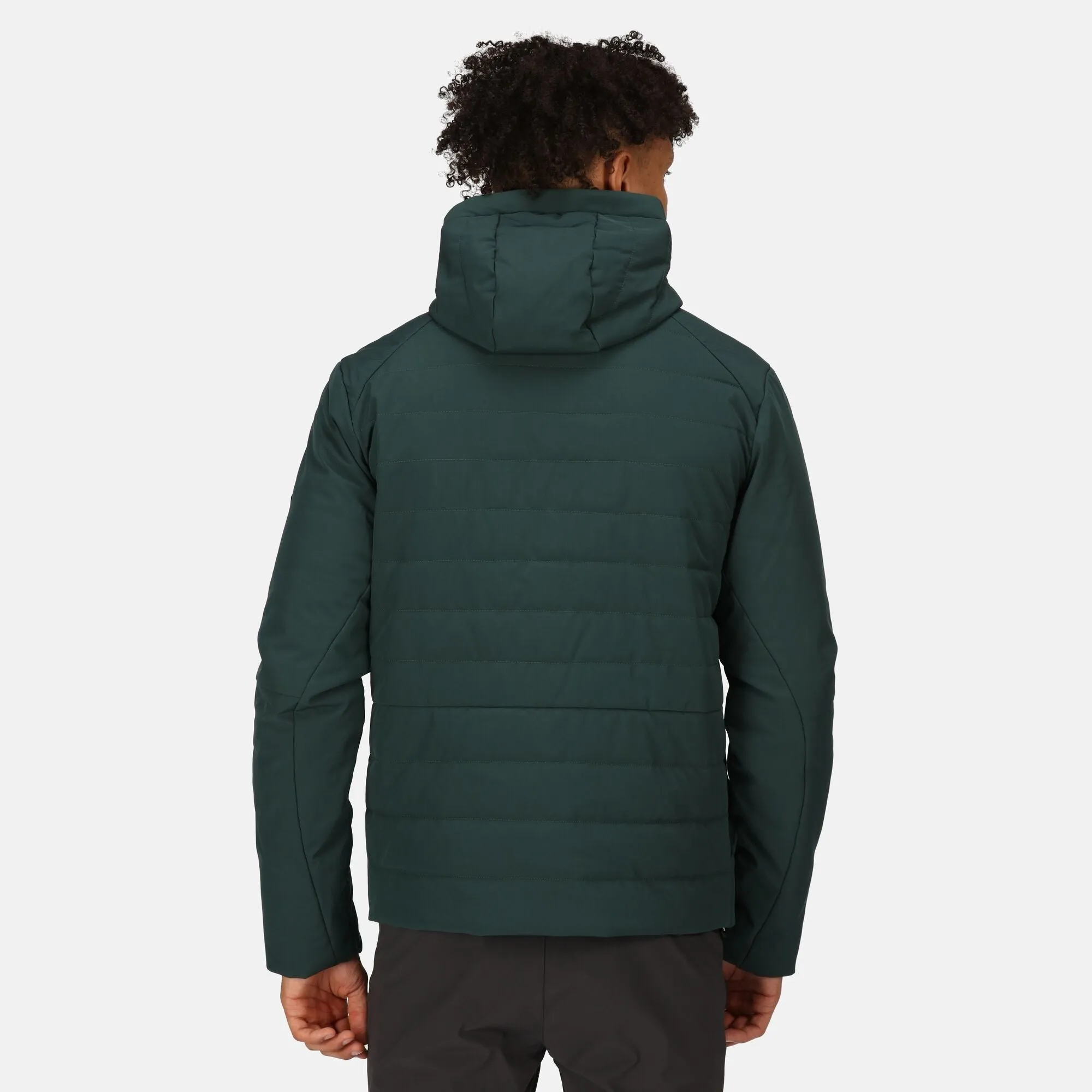 Regatta Mens Daxford Winter Hooded Insulated Jacket