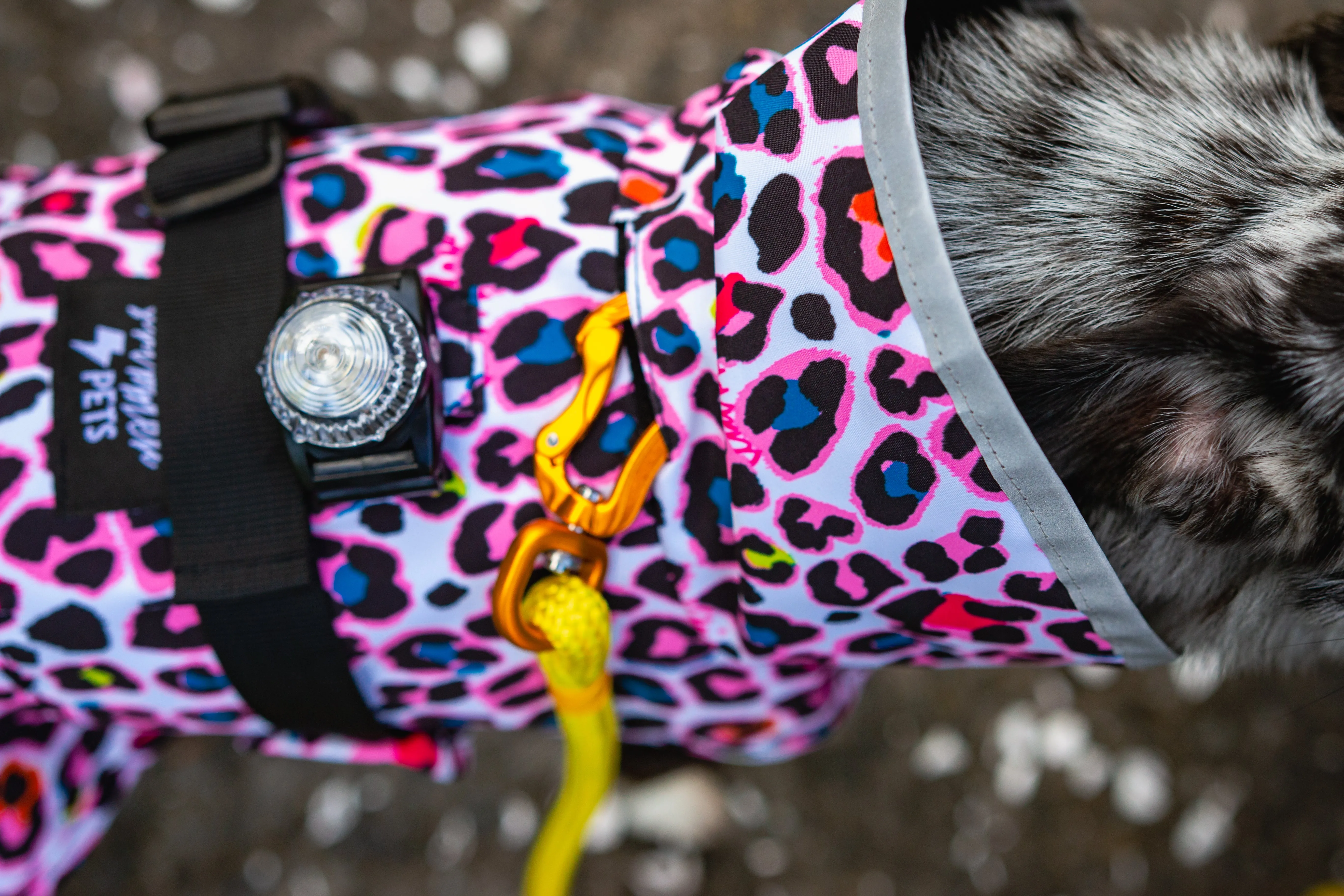 Scribbler Pets Neon Leopard lined raincoat for dogs