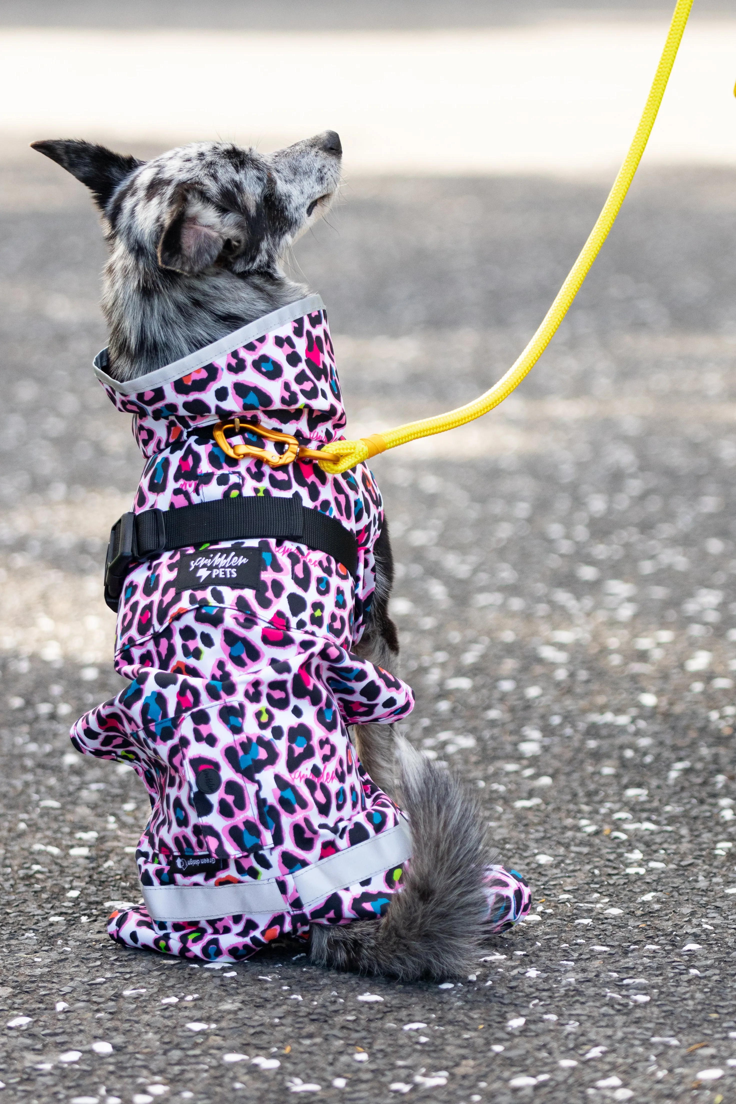 Scribbler Pets Neon Leopard lined raincoat for dogs