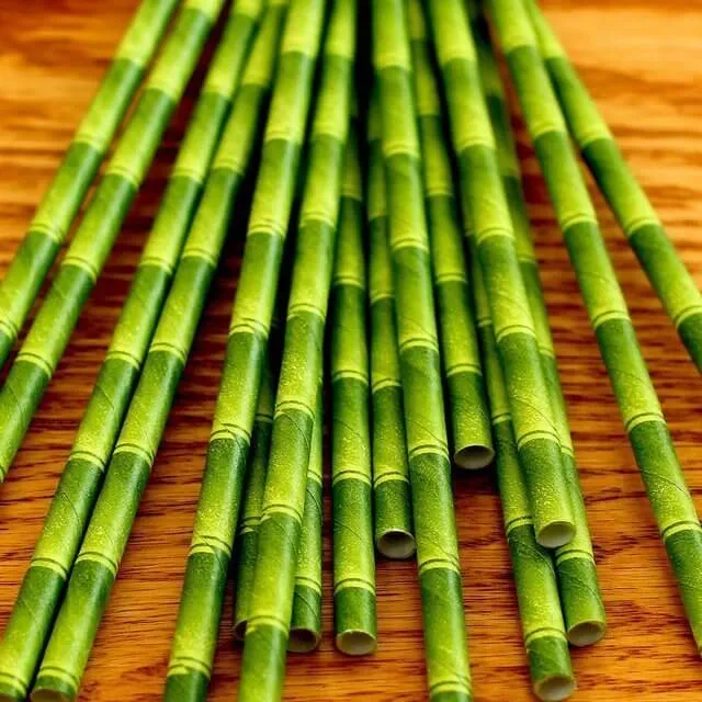 Tiki Paper Straws by Kikkerland