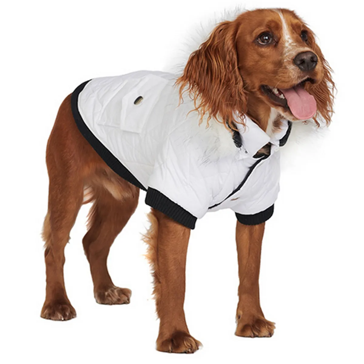 White Quilted Fur Parka Dog Coat